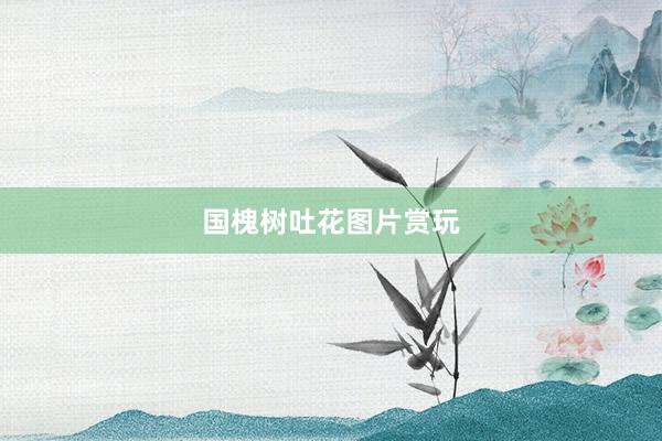 国槐树吐花图片赏玩